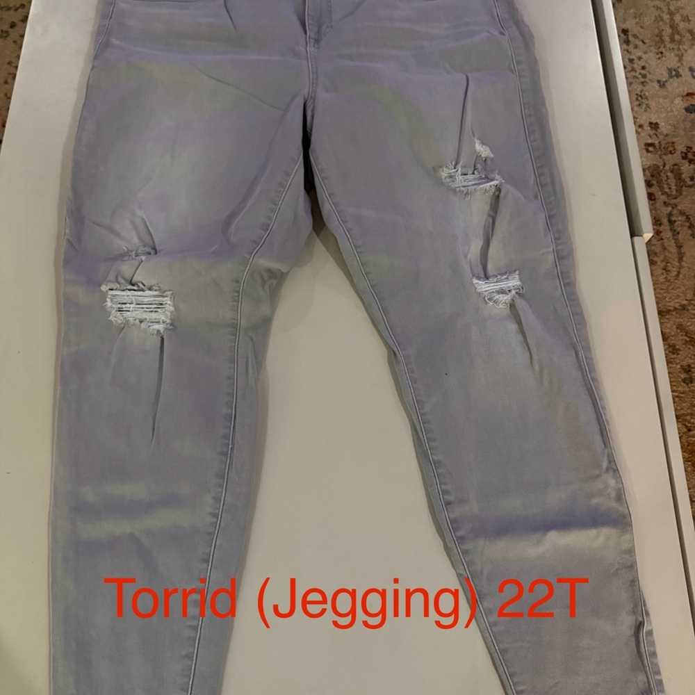 Torrid Women's Light Gray Distressed Jeggings